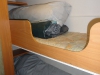 dsc00105